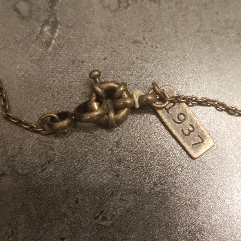 Long Shell Necklace - Picture 3 of 3
